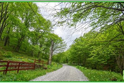 Teren forestier compact, 39,42 ha, Cheia – Măneciu, ECX30374 - 3