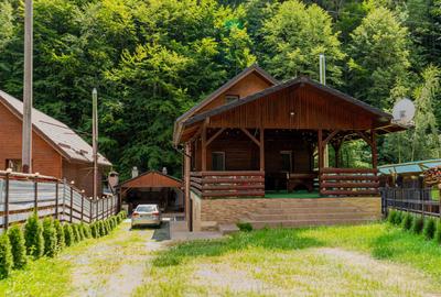 Splendoarea naturii imbinata cu stilul modern=pensiune exclusivista - 25