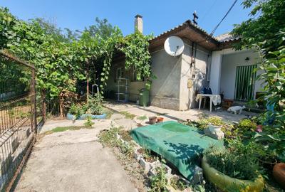 Casă P + teren 1.750 mp,ideală rezidență/ activitate comercială / spatii depozit - 13