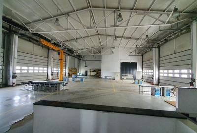 Proprietate imobiliara - Showroom Utilaje Agricole si Depozite/Hala service - 8