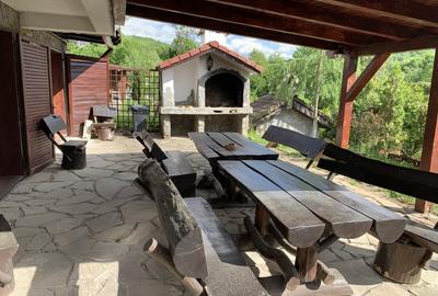 Casa de vacanta, Pensiune, Dobarlau - 10