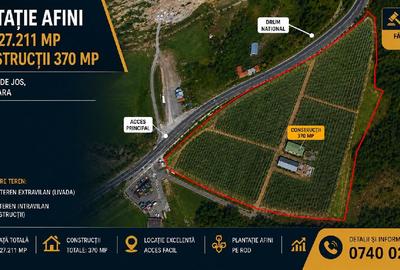 Spațiu industrial, 370 mp în Lăpugiu de Jos