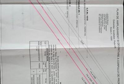 Teren intravilan 5.000 mp | Dublu front stradal | Drum asfaltat | Lângă K Tribut - 6