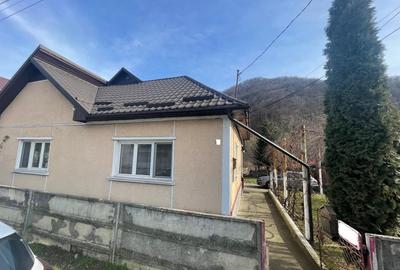 Casă individuală cu 3 camere în Ferneziu