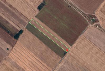 Teren agricol extravilan de 10000 mp, în Berceni