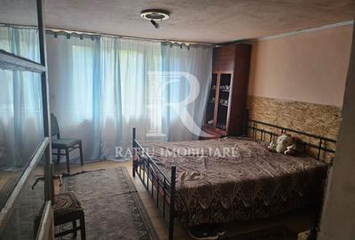 Casa cu teren generos | Spinus | Bihor - 1