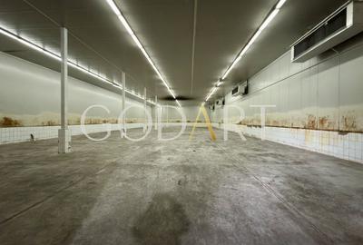 Hală industrială de închiriat | Acces TIR - 4