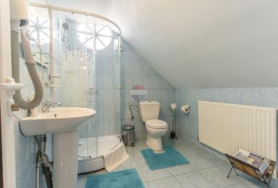 Proprietate Privata | Oltenesti Vaslui | Business la Cheie - 22