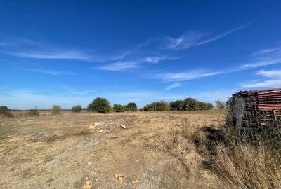 Vanzare teren intravilan Otopeni-Str Putna, 481mp, D-14,98ml, utilitati - 11