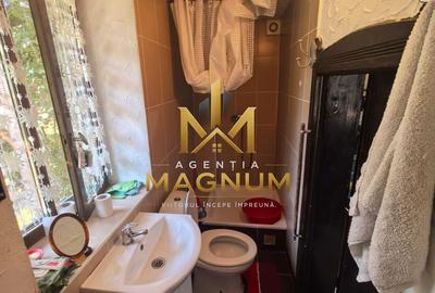 Casă P+M de vânzare | 450 mp teren | Centru Baia Sprie - 11