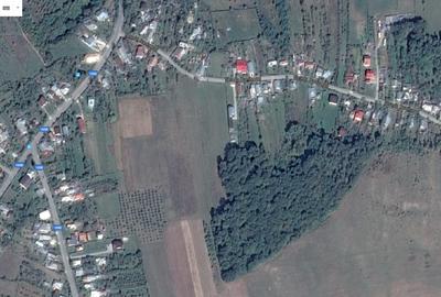 Teren Construcții intravilan de 4000 mp, în Mislea