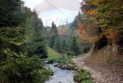 Teren 38,704mp Sirnea | 2.000 mp Intravilan | 36,704 Extravilan - 3