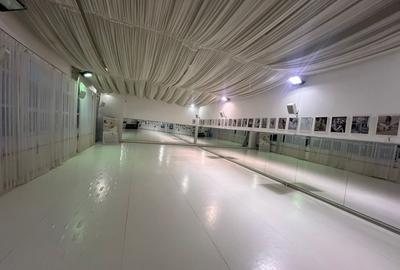 Sala pentru diverse activitati  zona Piata Cluj - 3