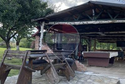 Pensiune - Domeniu montan - Casa si cabana 14 camere de vânzare - 23