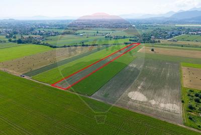 Teren agricol intravilan de 11500 mp, în IAR