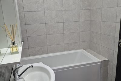 Theodor  Pallady - Drumul Gura Putnei - 2 camere de inchiriat mobilat NOU - 31