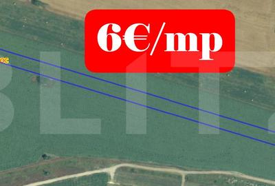 Teren agricol extravilan de 10000 mp, în Giroc