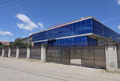 Complex multifunctional-Business & Logistic Campus-Spațiu industrial - 3