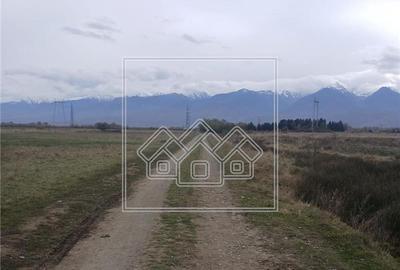 Teren agricol extravilan de 2600 mp, în Cârțișoara