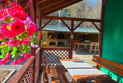 Casa Delta Verde – Afacere turistică la cheie ⭐⭐⭐ în Delta Dunării | Mahmudia - 14