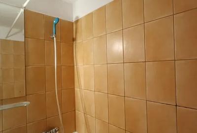 Garsoniera-BRANCOVEANU-SECUILOR - 6