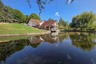 Conac exclusivist | Slănic-Moldova | View Superb |  Domeniu 17.000 mp | SPA&LAC - 3