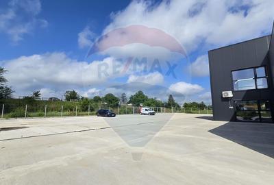 DE INCHIRIAT Hala industriala 596mp | Teren 2500mp | Buftea - 5