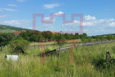 Parcela  de teren Valea Fanatelor extravilan parcelat 525mp - 2
