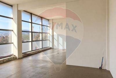 302 mp spatiu birouri, clinică sau showroom, Piața 1 Mai, de inchiriat - 4