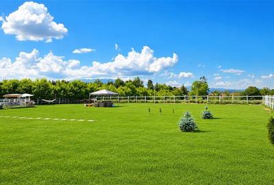 Cabana moderna, teren 1.640 mp, foisor, gratar, atmosfera de vacanta, Rasnov, Br - 32