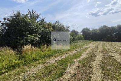 Teren de 11.000 mp cu casă și teren agricol | La 40 km de București | - 15