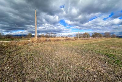 Teren agricol intravilan de 5000 mp, în Hălchiu
