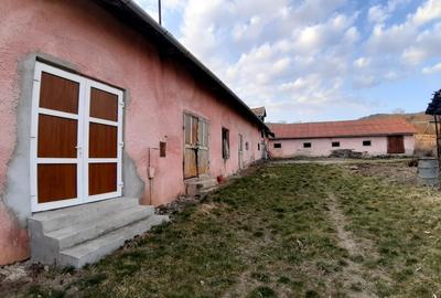 Investitie ideala in Coroi! Constructii cu 4.6 ha teren. - 11