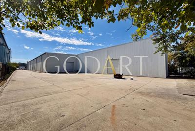 Proprietate industrială de vânzare Otopeni | Hala | Birouri - 1