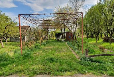 Teren agricol extravilan de 5000 mp, în 14 Mai