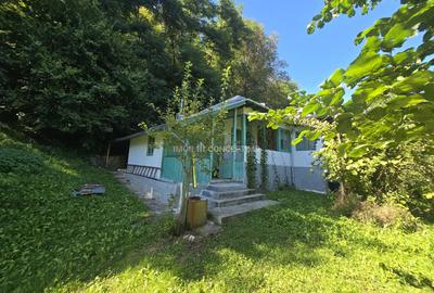 Vanzare Casuta pitoreasca la padure, teren 3159mp, in Gogeasca - 1