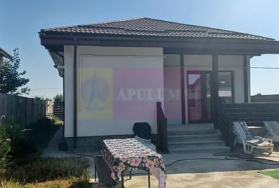 Casă nouă Săbăreni, terasă, piscină, foișor, barbeque, curte 440 mp - 5