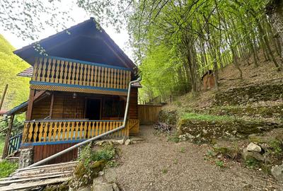 Cabana 5 camere, 75 mp| teren 900 mp| zona Iezer Ighiel - 2