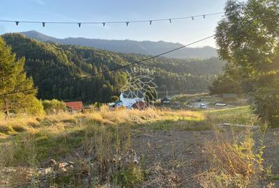 Teren Intravilan 1000mp-panorama-oportunitate investitie-Colibita - 8