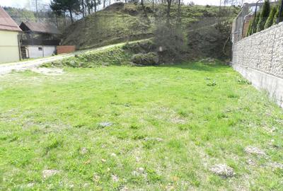 Inchiriez teren in Bran la DN73 langa PANNER, investitie - 8