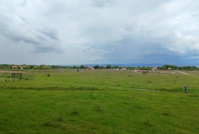 Teren 1000 mp intravilan/Sambata de Sus Brasov - 14