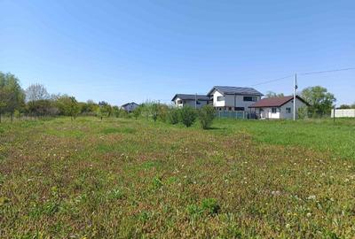 Teren parcelabil, intravilan, 6400mp cu casa renovata - ideal investitor - 14