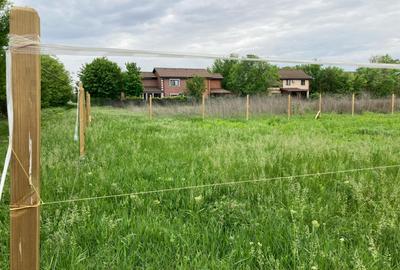 Teren 800mp, in zona Nord Paradisul Verde - 11