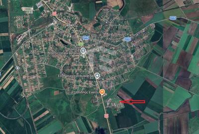 Casa cu 4 camere cu teren de 14,340 mp + platforma de beton cu hala - 13