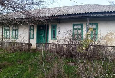 Teren pretabil Investitie in Comuna Daieni Bratul Macin Dunarea Veche Ostrov - 11