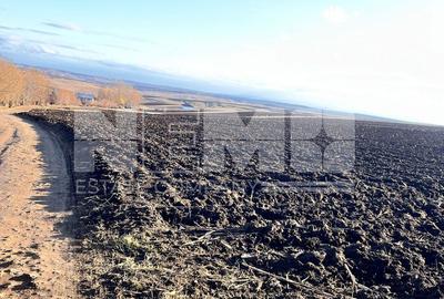Teren I Suceava I Moara Nica I 2500 Mp I 54.900 Euro - 7