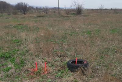 TEREN INTRAVILAN 306 mp – Palazu Mare, Constanta - Ocazie Unica - 4