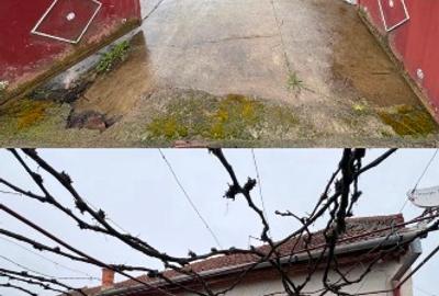 Casă + teren 2319 mp în centrul satului Sacoșu Mare, aproape de Lugoj - 1