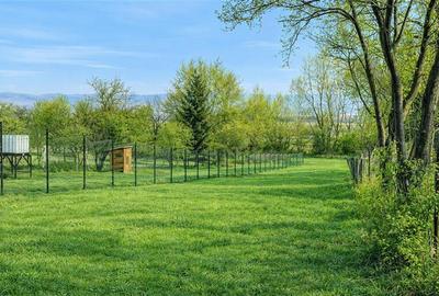 Teren 1.120 mp,Dobolii de Sus:liniste,aer curat si multiple posibilitati de util - 2