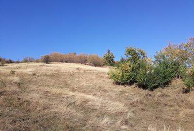 OFERTĂ SPECIALĂ! Teren intravilan de vânzare în Câmpina pe Dealul Muscel - 10